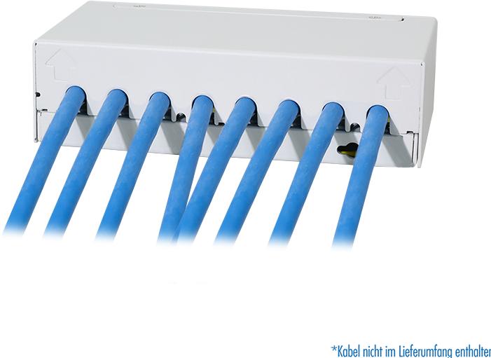 Produktbild LogiLink Patch Panel 8 Port mit 8 Cat.6A Keystone Modulen