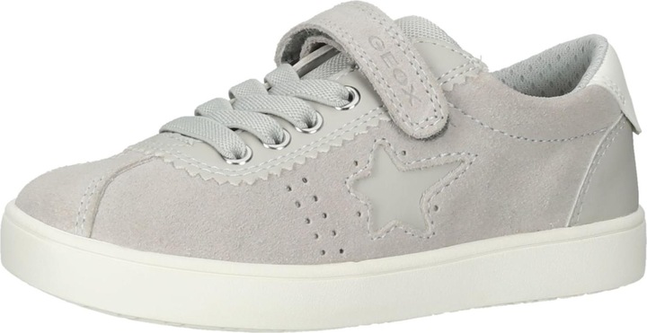 Grey C1010