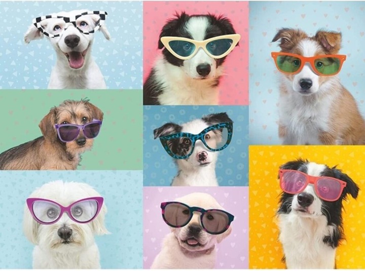 Produktbild Ravensburger Witzige Hunde 150p (150 Teile)