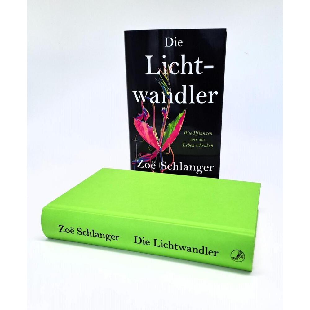 Thumbnail - Die Lichtwandler, Ratgeber von Zo Schlanger
