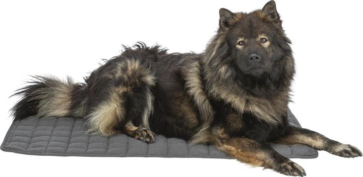 Produktbild Trixie Caliente lying mat, square, 60 × 50 cm, dark grey (Hund)