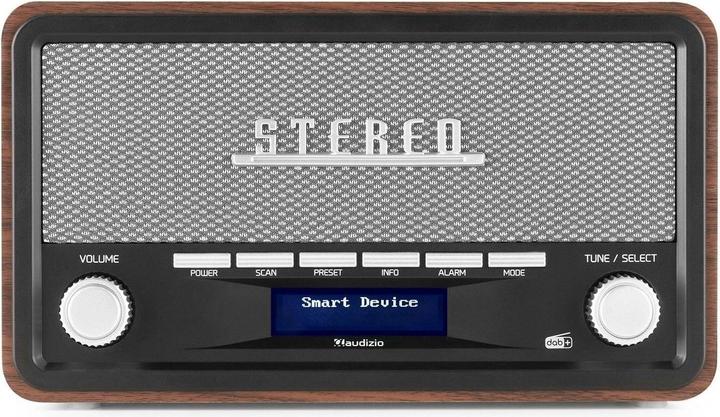 Actual product image Audizio Foggia (FM, DAB+, Bluetooth)