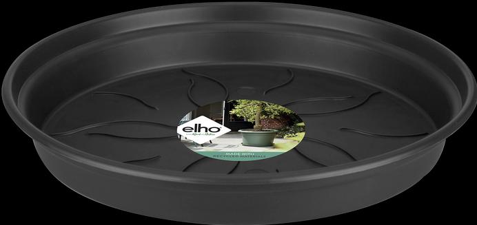 Produktbild Elho Green Basics Untersetzer