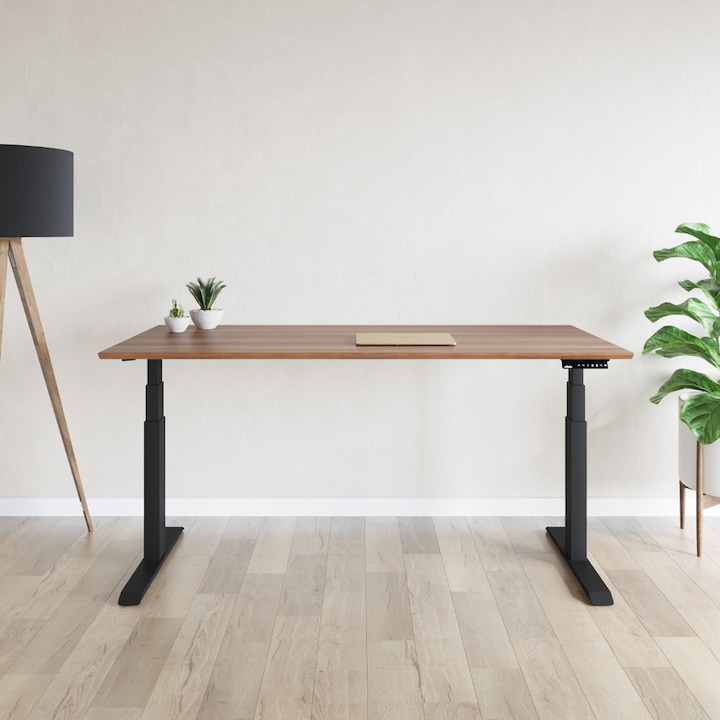 Produktbild ofinto Elevate (180 x 80 x 98.5 cm)