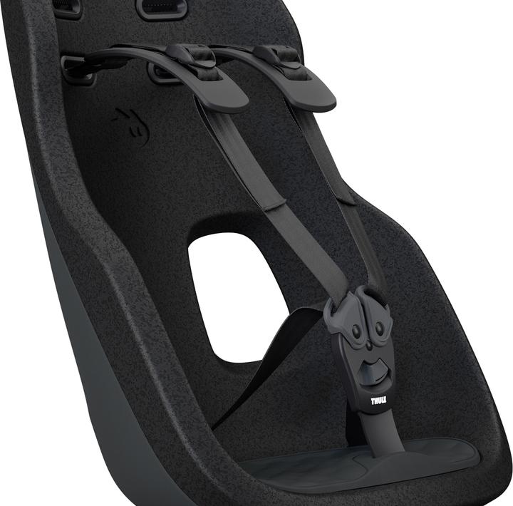 Actual product image Thule Siège d'enfant Yepp Nexxt 2 Maxi (GT) (Carrier)