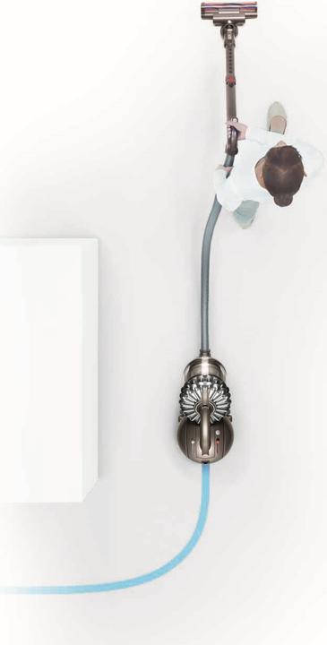 Actual product image Dyson DC52 Total Animal