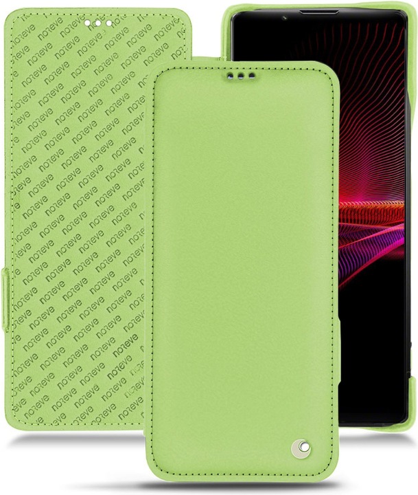 Vert olive ( Nappa - Pantone #a7c58e )