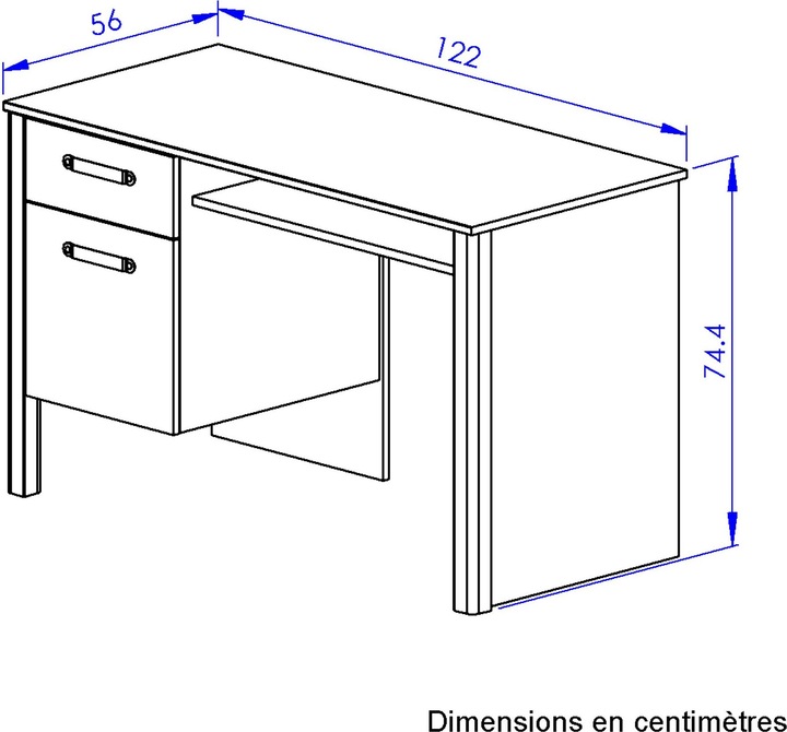 Actual product image Gami Arthus