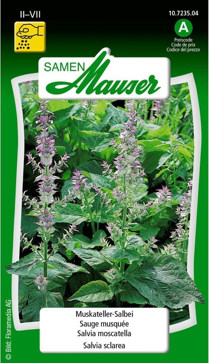 Samen Mauser Sauge muscat (Graines d'herbes aromatiques)