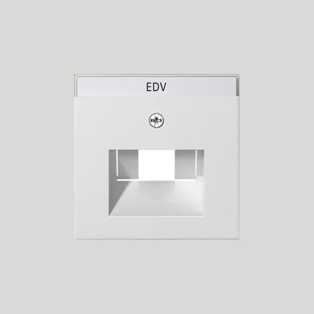 Actual product image Gira Central insert