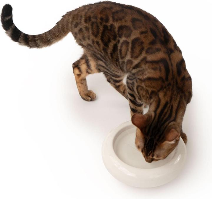 Image du produit LucyBalu MYCO Katzennapf