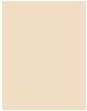 Actual product image Maybelline New York Superstay/Everfresh (2 Naked Ivory)