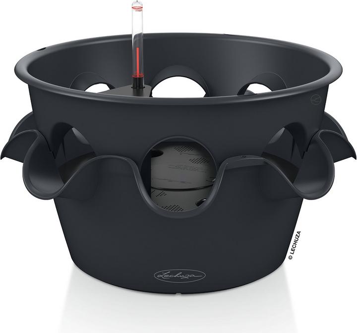 Immagine prodotto Lechuza Cascada (44 cm)