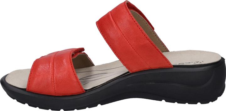 Actual product image Westland 25906-643 (36)