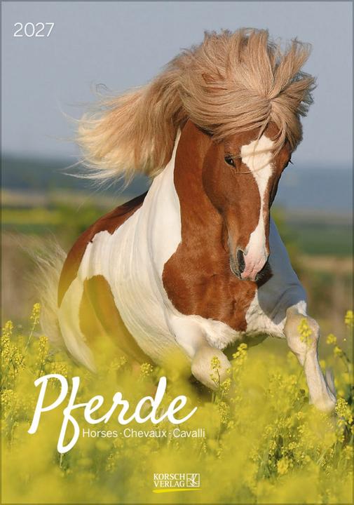 Produktbild Pferde 2027