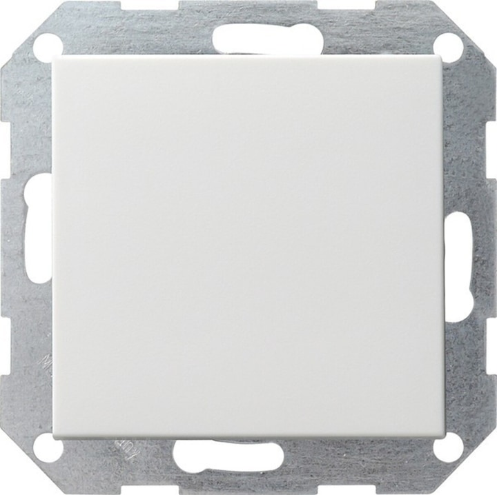 Actual product image Gira Button