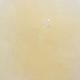 Produktbild SantaVerde Classic Bakuchiol Drops (30 ml)