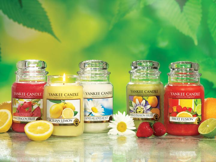 Immagine prodotto Yankee Candle Barattolo medio (411 g)