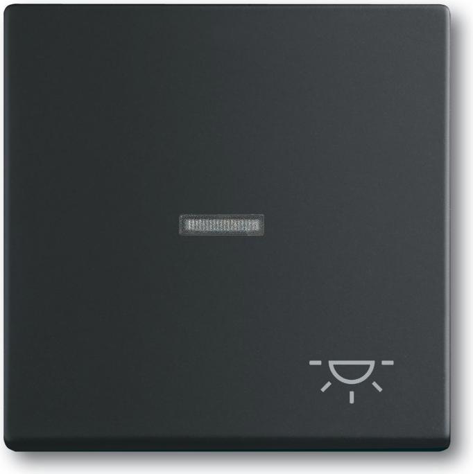Tiefschwarz (RAL 9005), Schwarz