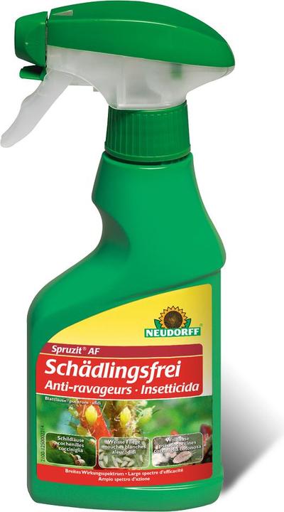 Actual product image Neudorff Spruzit AF pest free (Harmful insects)