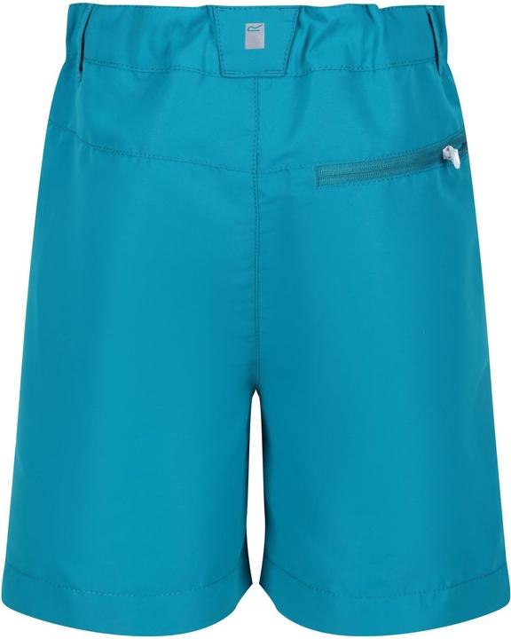 Actual product image Regatta Sorcer Ii Shorts (146)