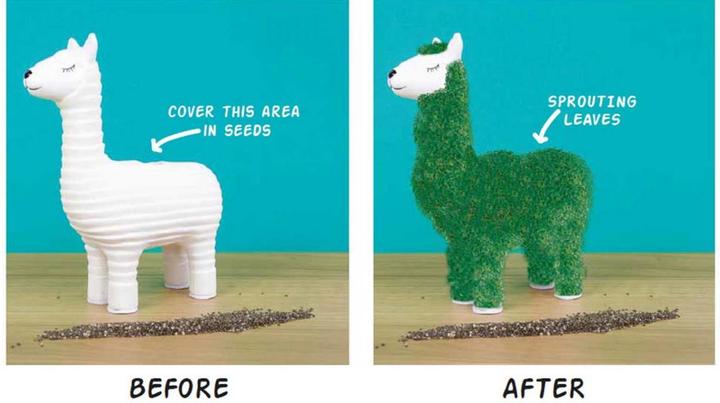 Actual product image Gift Republic Chia Plant Llama