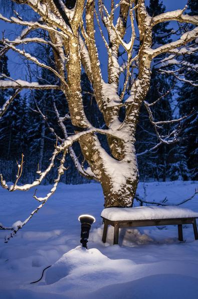 Actual product image Star Trading Spotlight (E27, 1300 lm, 1 x)