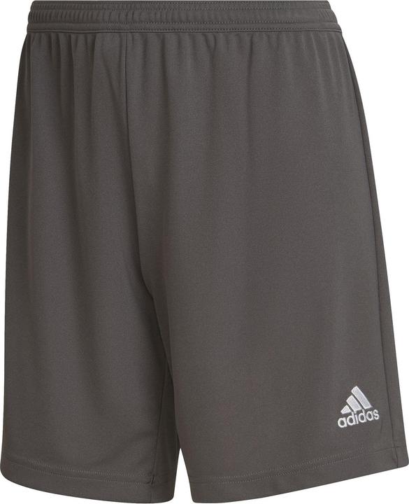 Actual product image adidas Entrada 22 Shorts (M)