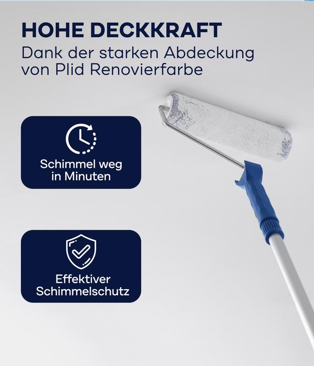 Actual product image Plid Anti-mould paint 5l + painting set, for approx. 30m² / anti-mould paint