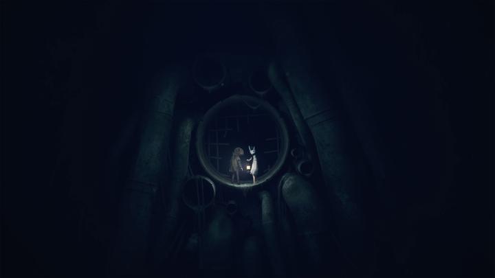 Image du produit THQ Reanimal (PS5, DE)