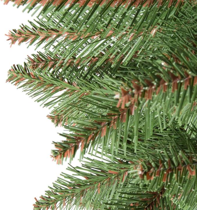 Immagine prodotto FairyTrees Abete Nordmann (180 cm)