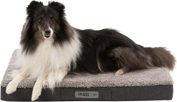 Produktbild Trixie Vital Kissen Bendson (Hund)
