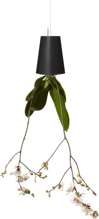Actual product image boskke Sky Planter Small (9.50 cm)
