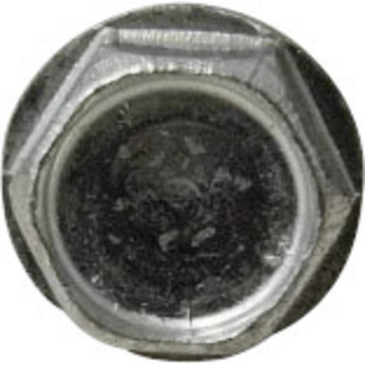 Immagine prodotto Toolcraft Viti di foratura (100 Viti per pezzo)