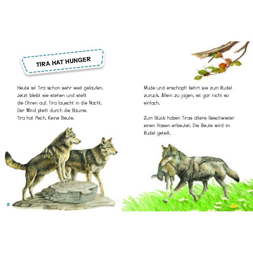Thumbnail - Tira, die junge Wölfin, Kinderbücher von Jana Ullke, Ferruccio Cucchiarini