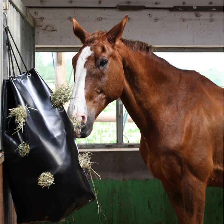 Image du produit Dönges Hay Bag mit Karabiner schwarz