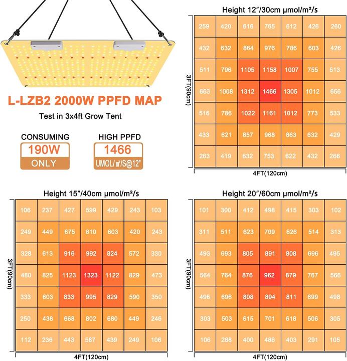 Actual product image Cokolila LED Grow Lamp 2000W (LED)