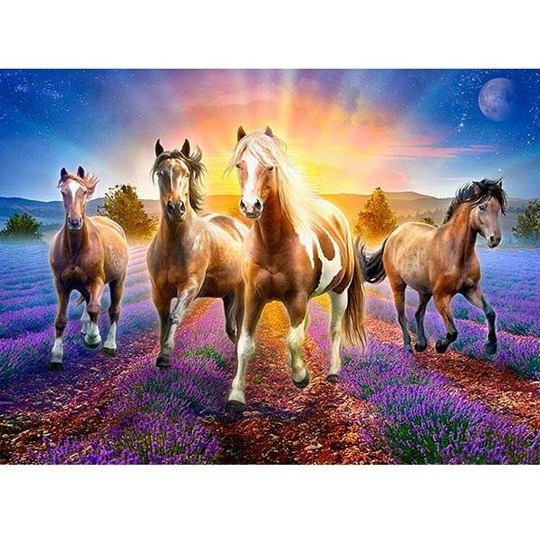 Norimpex 5D-Diamantmosaik - Pferde 40x30cm