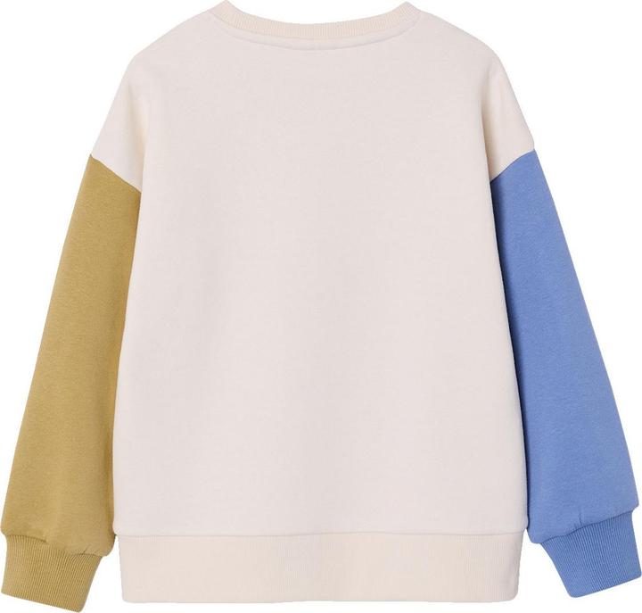 Produktbild Vertbaudet Sweatshirt mit farbigen ƒrmeln f¸r Jungen, Recycling-Polyester (116)