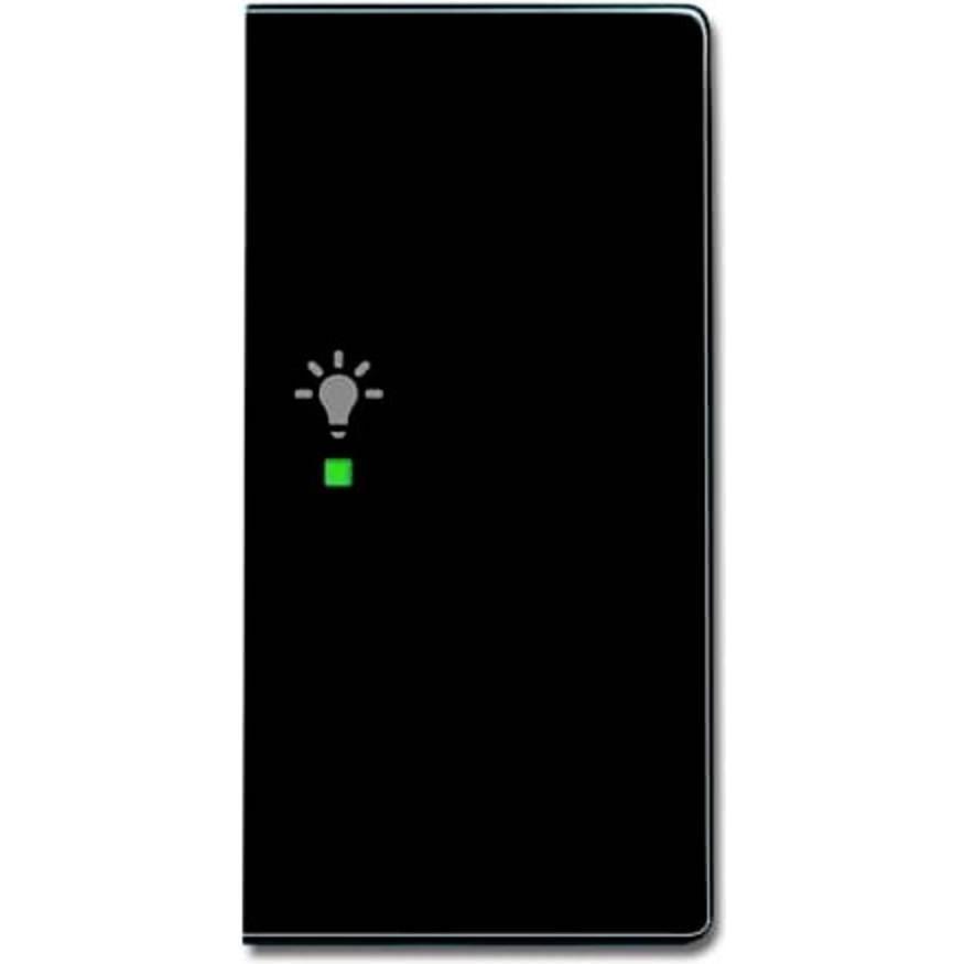 Busch-Jaeger, Programma di commutazione degli accessori, Bilanciere Busch-Jäger a 2 pieghe a destra, con simbolo "luce" 6231-22-81