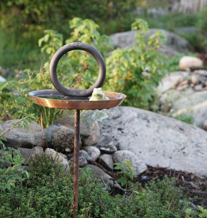 Image du produit Born in Sweden Ring