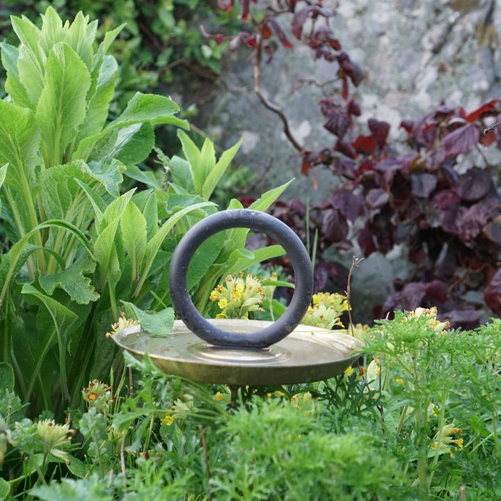Image du produit Born in Sweden Ring