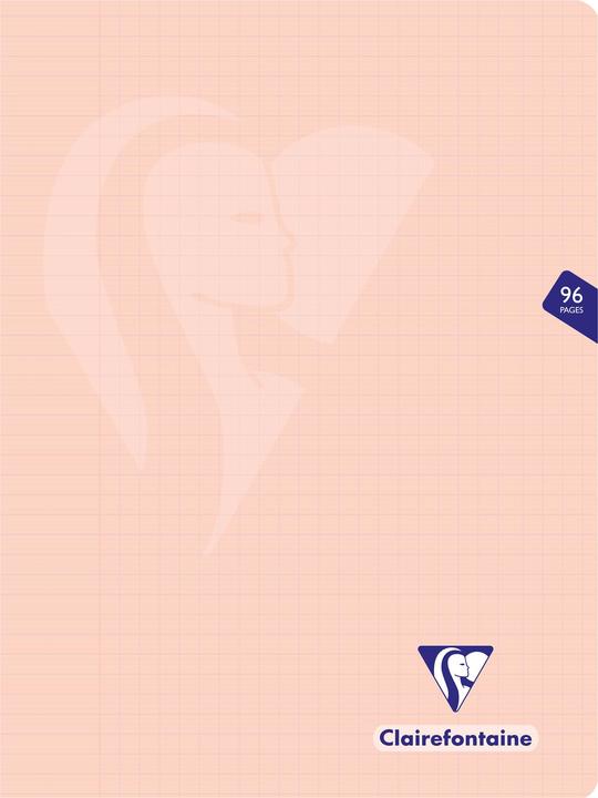 Actual product image Clairefontaine Mimesys (24 x 32 cm, Lined, Soft cover)