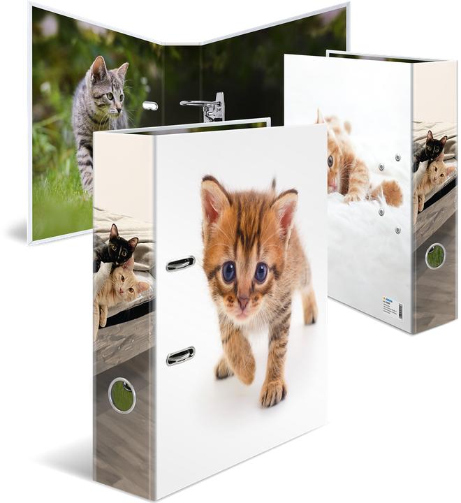 multicolore, Multicolore