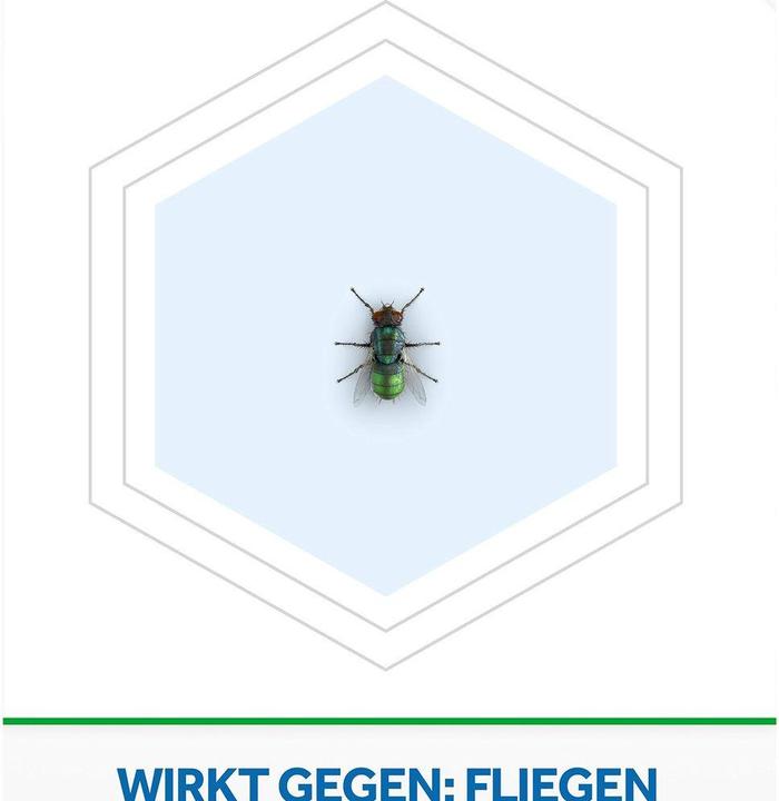 Actual product image Raid Essentials fly-catcher