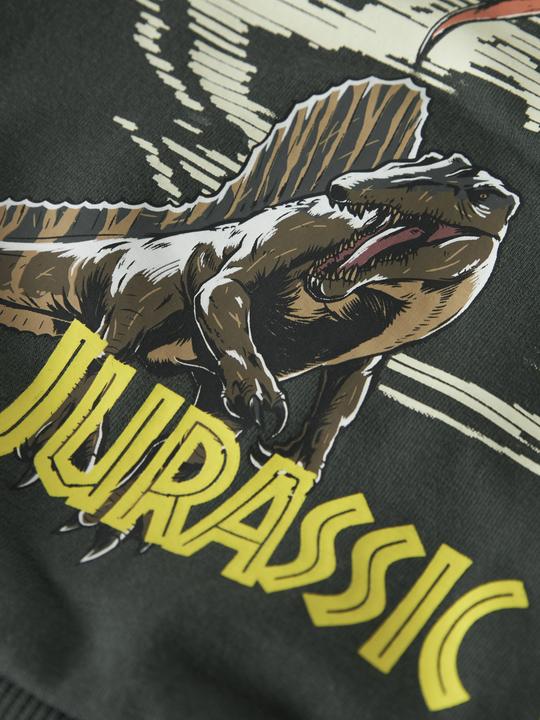 Produktbild Name it Nmmjal Jurassic Nreg Sweat Bru Noos Sky (104)