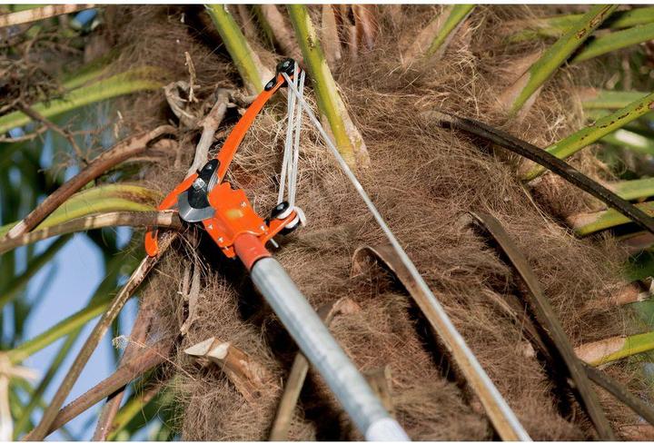 Actual product image Bahco Caterpillar shears