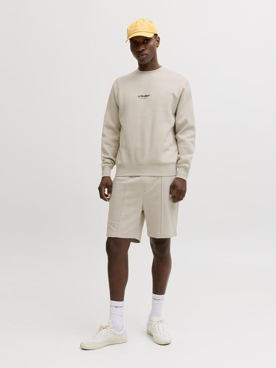 Image du produit Jack & Jones Jjesoho Sweat Crew Neck Noos (L)