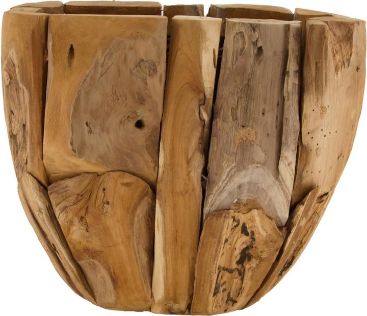 Decofinder Papagei Aus Schwemmholz H: 120 cm