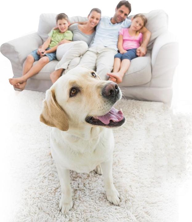 Image du produit Techly I-ALARM-KIT001